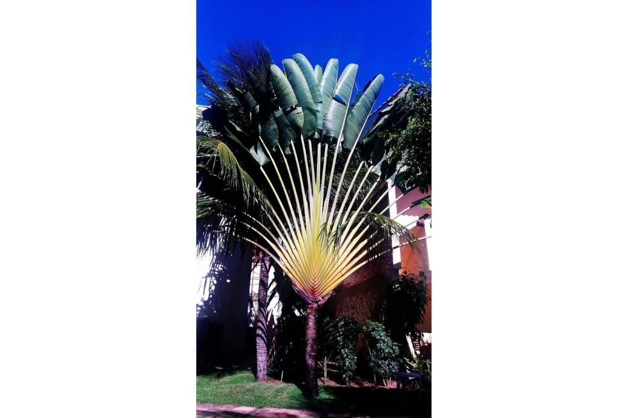 Solar De Pipa Duplex Flat Daire Praia de Pipa Dış mekan fotoğraf